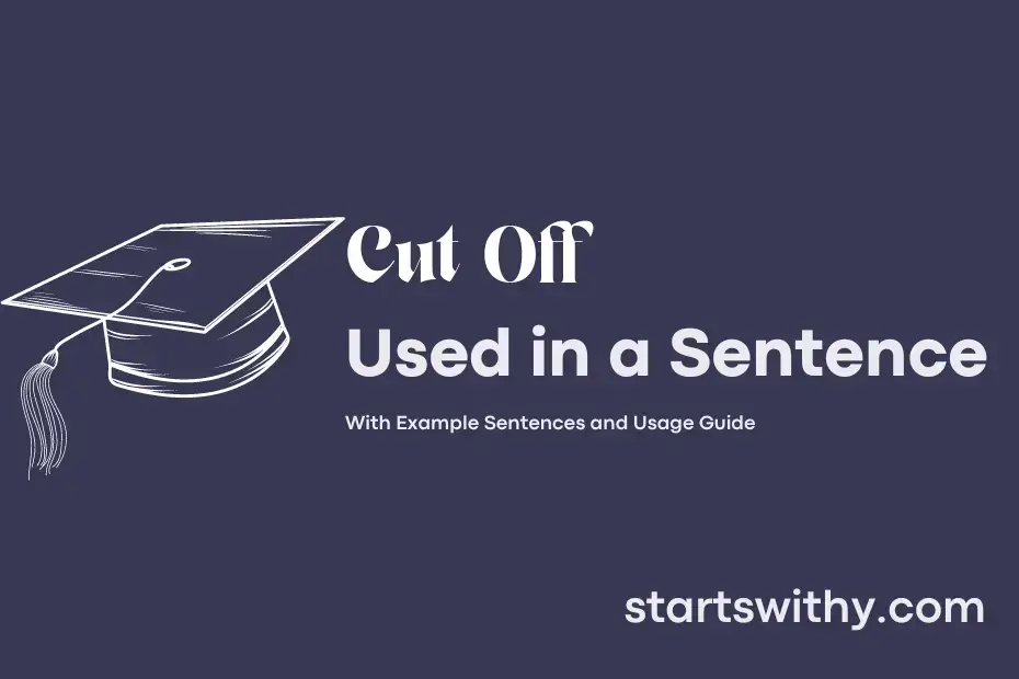 cut-off-in-a-sentence-examples-21-ways-to-use-cut-off