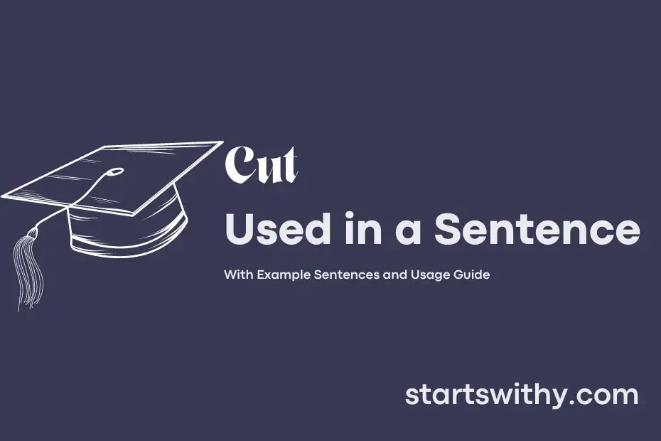 cut-in-a-sentence-examples-21-ways-to-use-cut