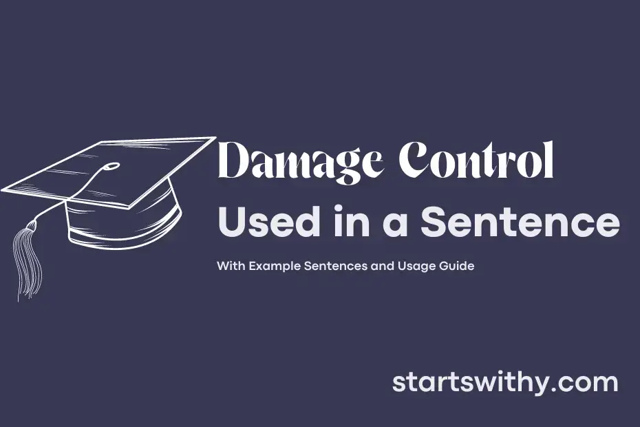 DAMAGE CONTROL In A Sentence Examples 21 Ways To Use Damage Control