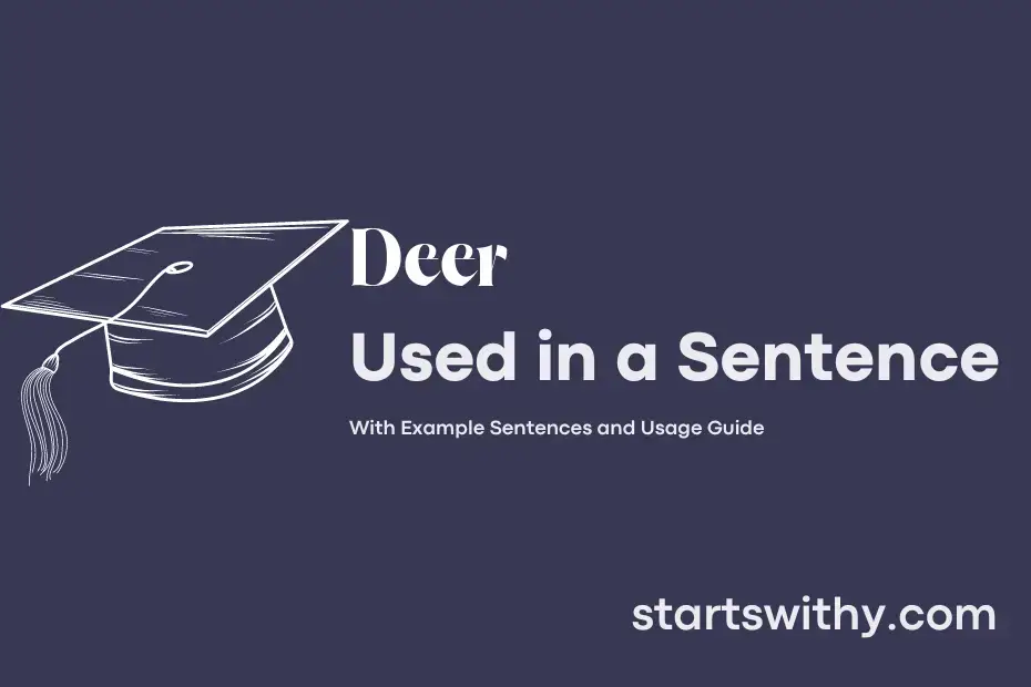 deer-in-a-sentence-examples-21-ways-to-use-deer