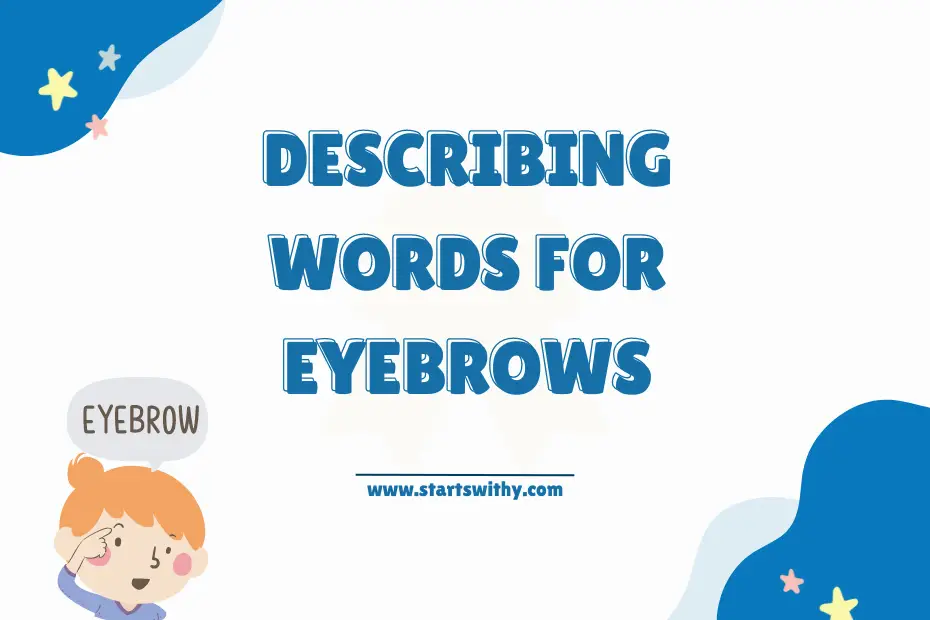 Describing Words for Eyebrows