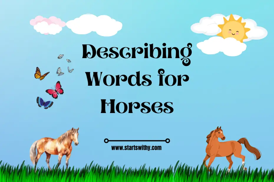 Describing Words for Horses