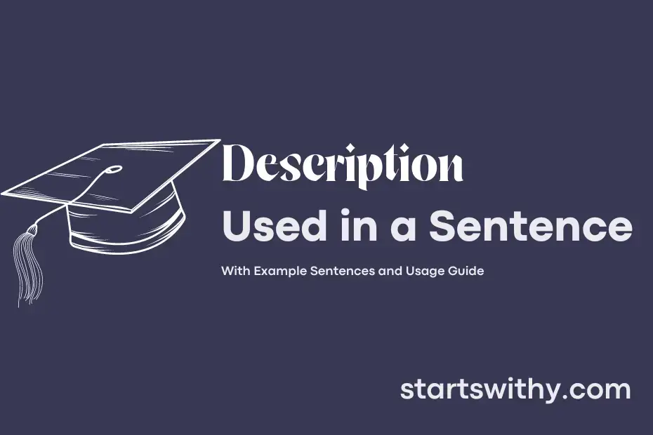 description-in-a-sentence-examples-21-ways-to-use-description