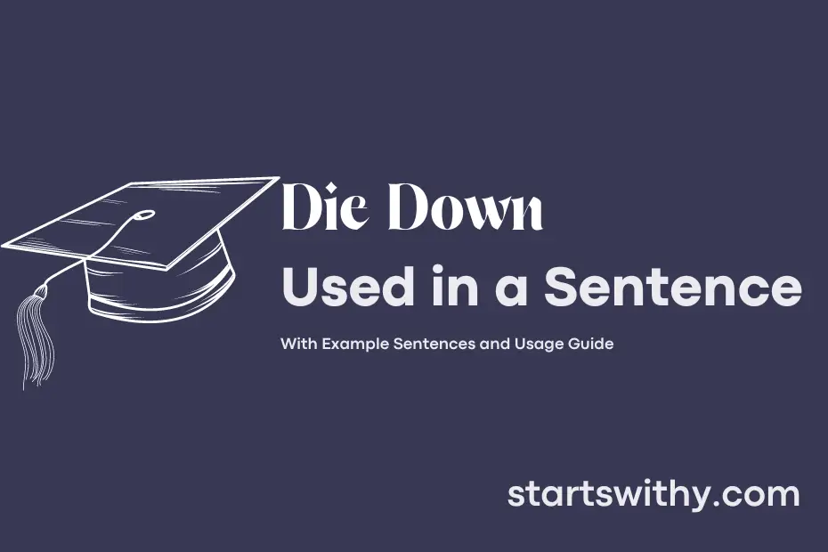 DIE DOWN In A Sentence Examples 21 Ways To Use Die Down