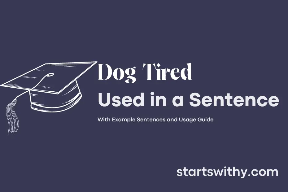 dog-tired-in-a-sentence-examples-21-ways-to-use-dog-tired