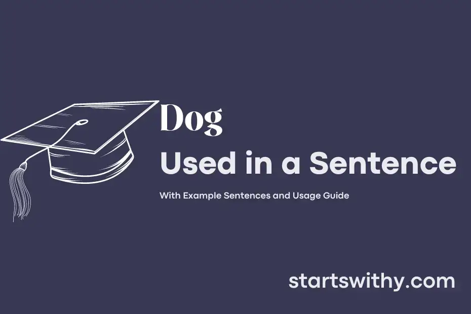 sentence with Dog
