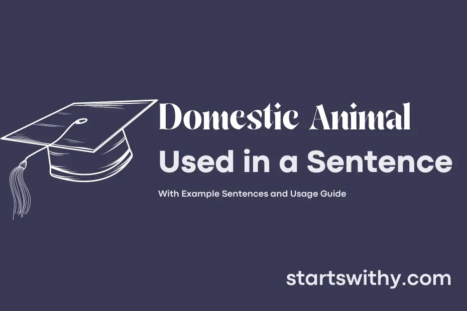 sentence with Domestic Animal