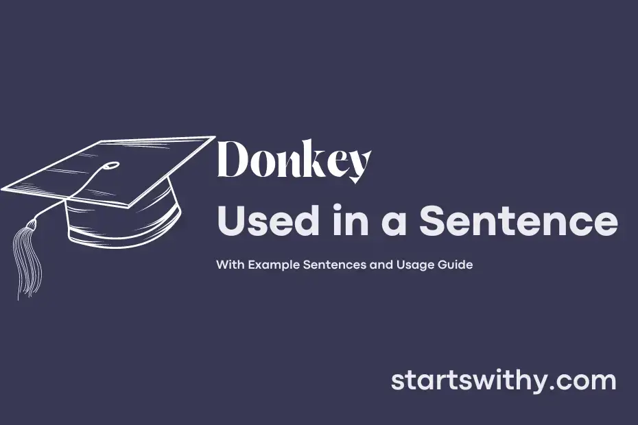 sentence with Donkey