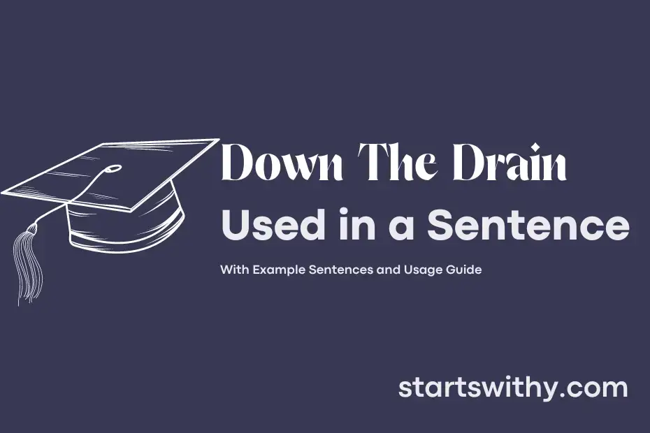 down-the-drain-in-a-sentence-examples-21-ways-to-use-down-the-drain