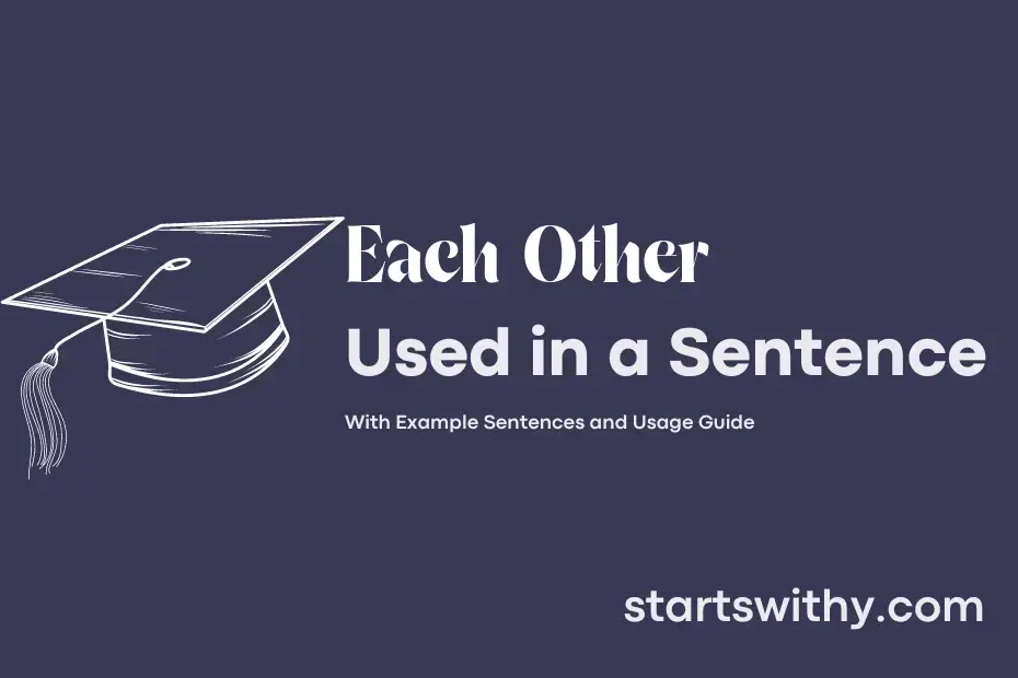 sentence with Each Other