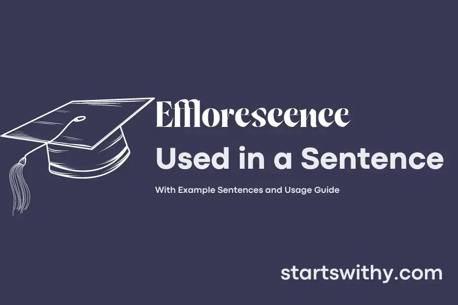 sentence with Efflorescence
