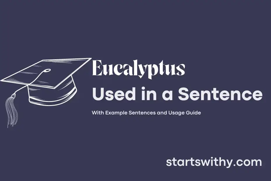 sentence with Eucalyptus