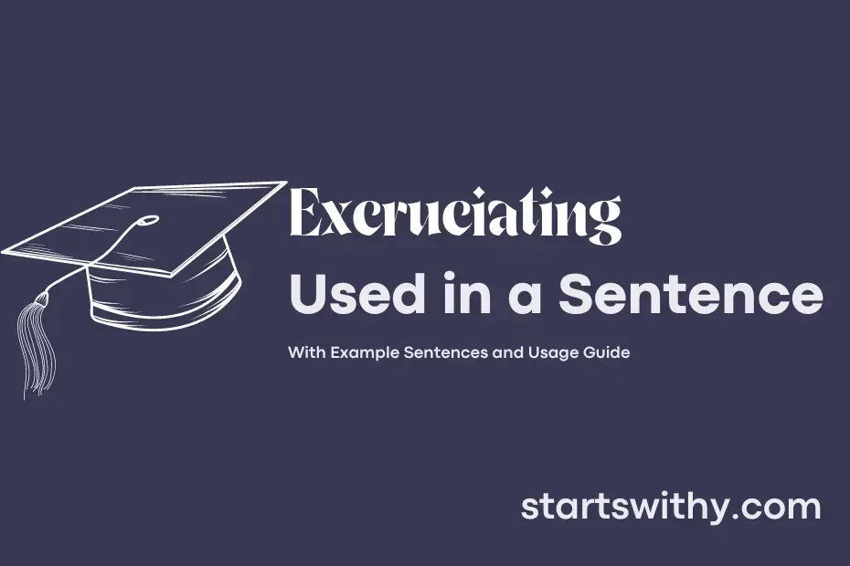 Example Sentence With The Word Excruciating