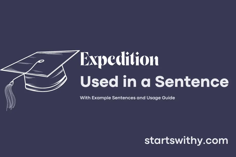 expedition-in-a-sentence-examples-21-ways-to-use-expedition