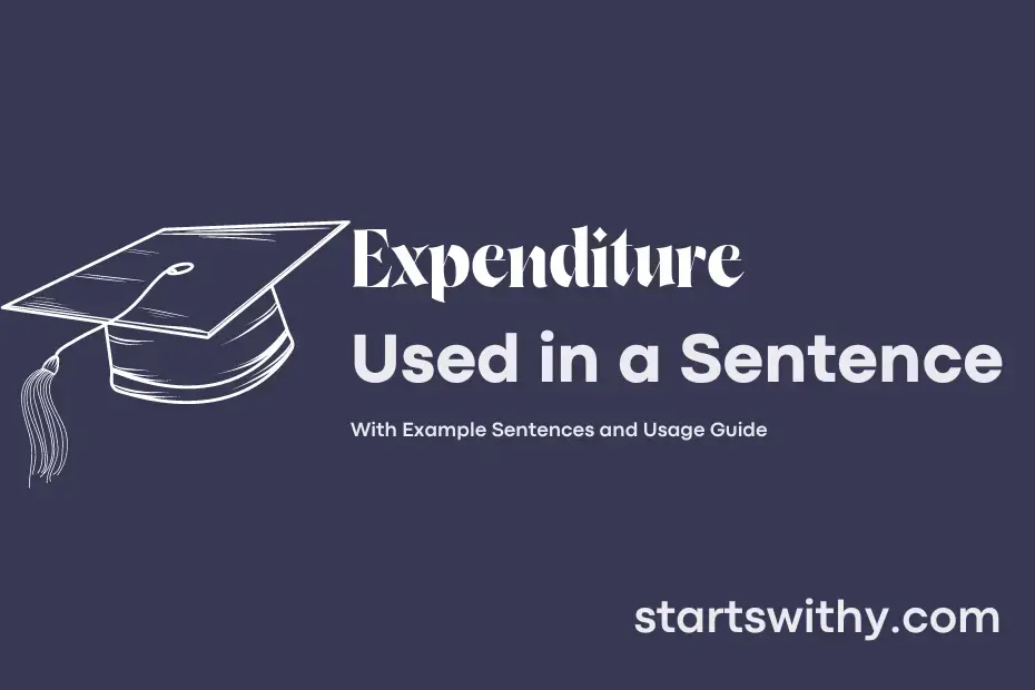 sentence with Expenditure