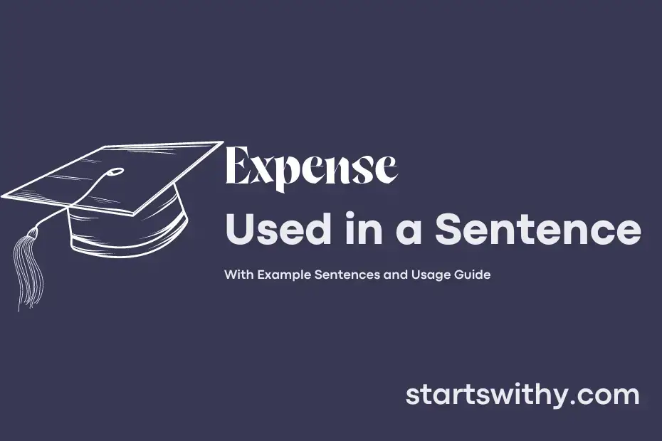 Expense In A Sentence Short