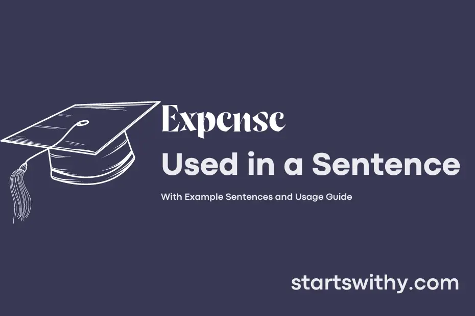 EXPENSE In A Sentence Examples 21 Ways To Use Expense