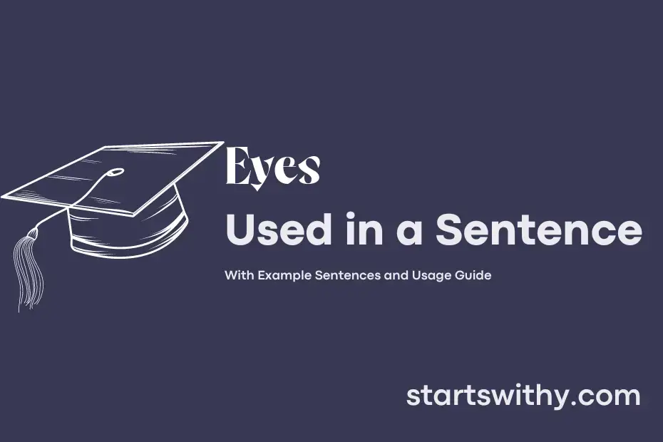 eyes-in-a-sentence-examples-21-ways-to-use-eyes