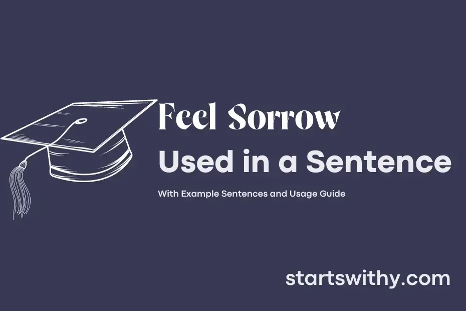 feel-sorrow-in-a-sentence-examples-21-ways-to-use-feel-sorrow