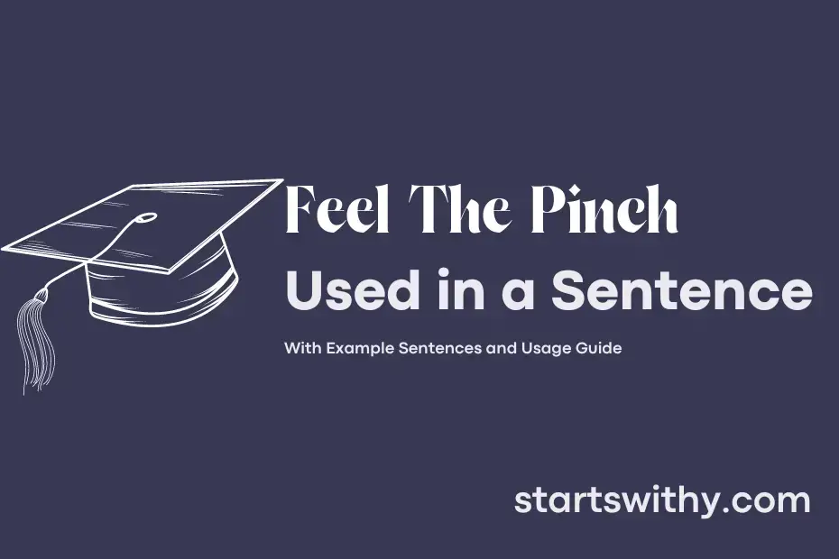 sentence with Feel The Pinch