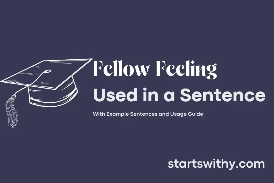 fellow-feeling-in-a-sentence-examples-21-ways-to-use-fellow-feeling