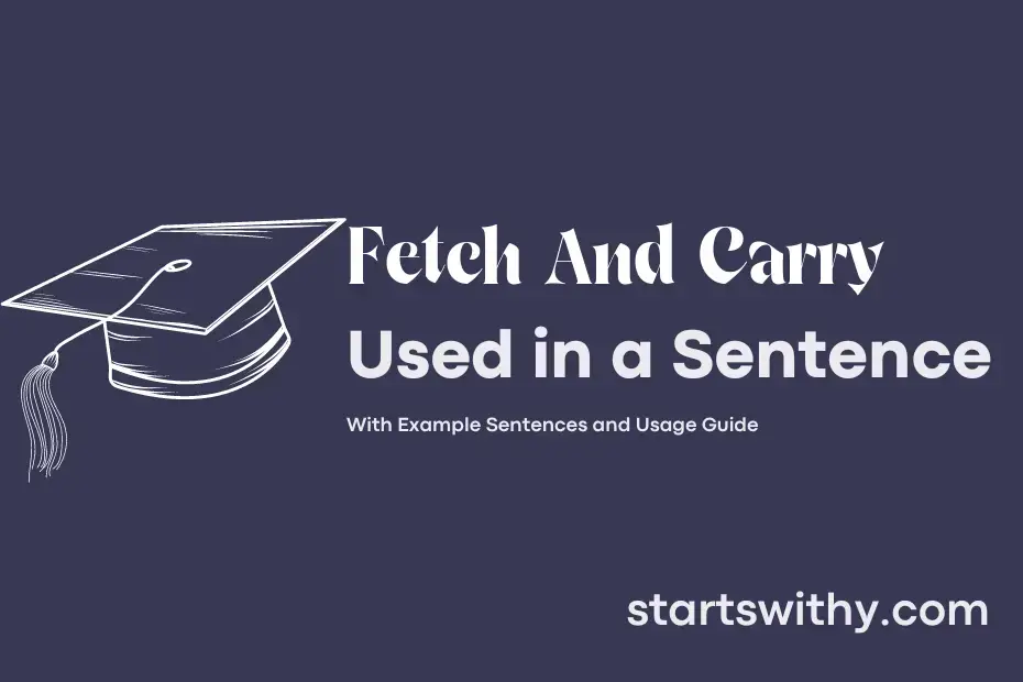 fetch-and-carry-in-a-sentence-examples-21-ways-to-use-fetch-and-carry