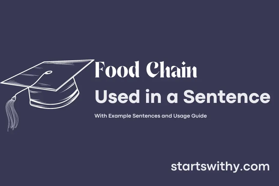 food-chain-in-a-sentence-examples-21-ways-to-use-food-chain