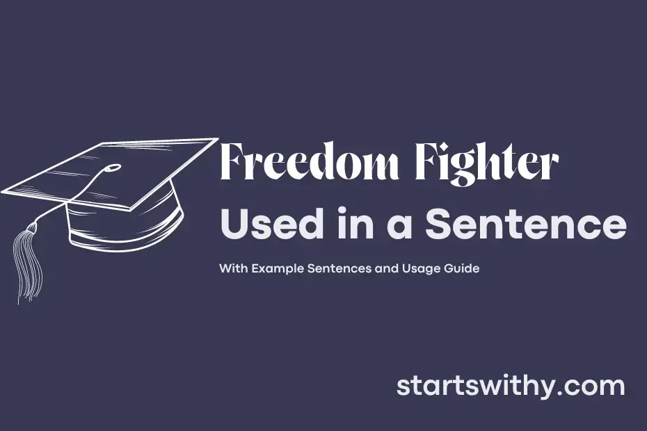 sentence with Freedom Fighter