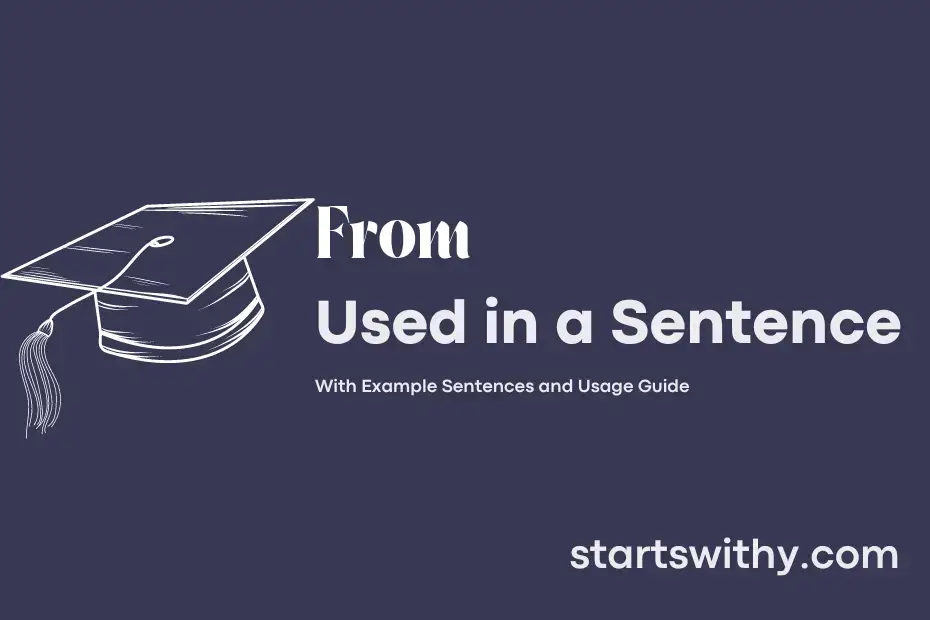 FROM in a Sentence Examples: 21 Ways to Use From