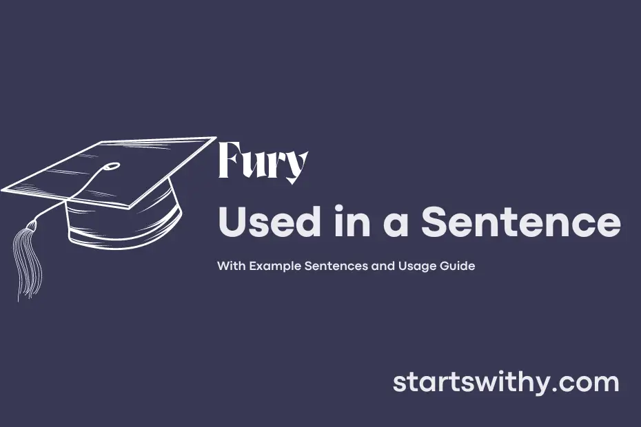 fury-in-a-sentence-examples-21-ways-to-use-fury