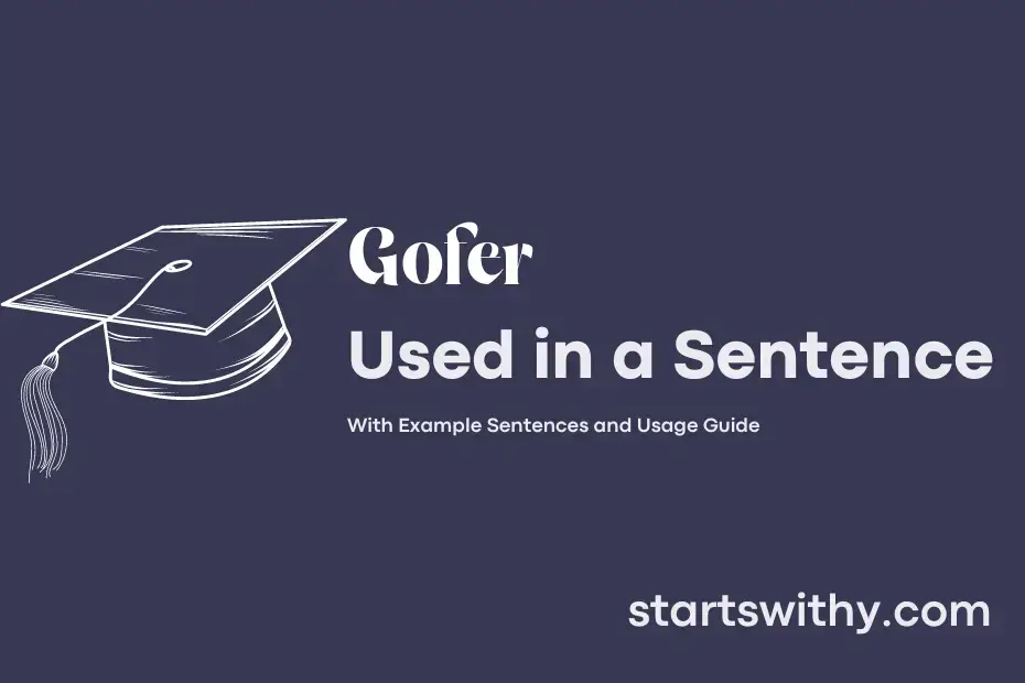 sentence with Gofer