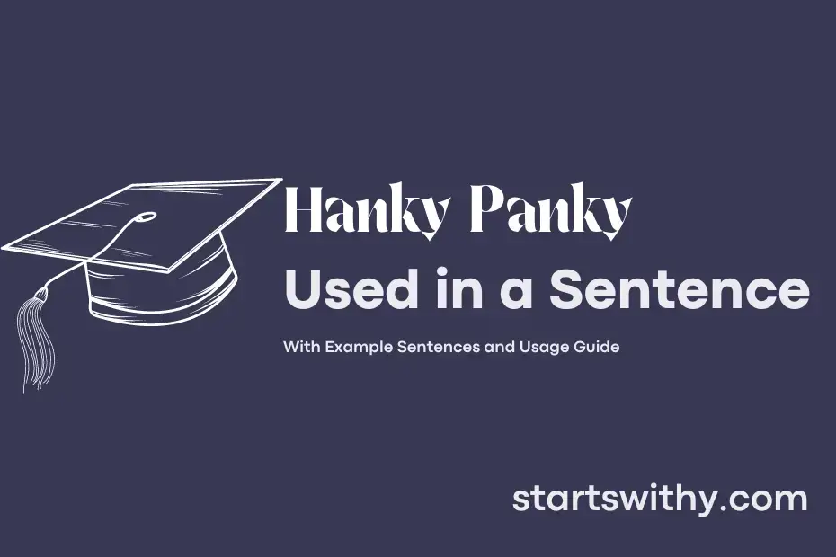 sentence with Hanky Panky