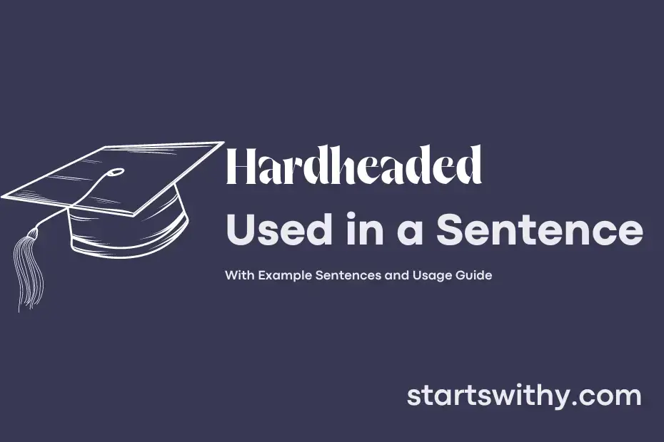 hardheaded-in-a-sentence-examples-21-ways-to-use-hardheaded