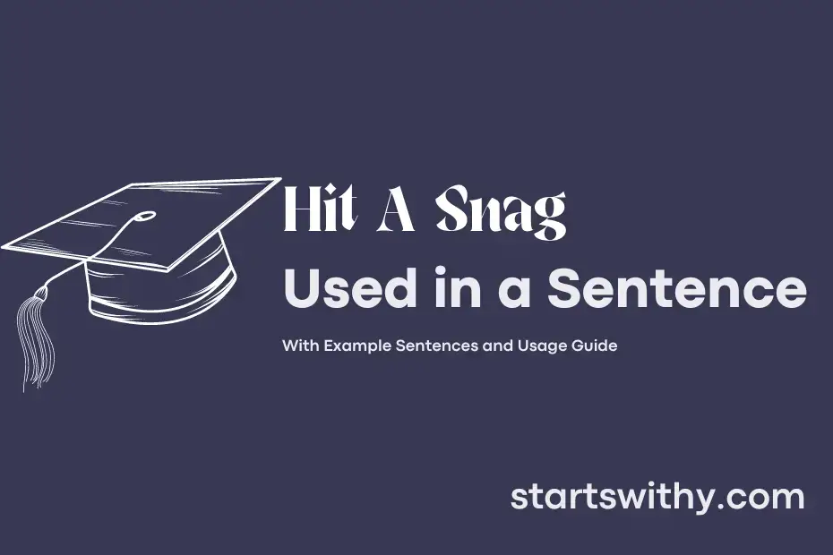 sentence with Hit A Snag