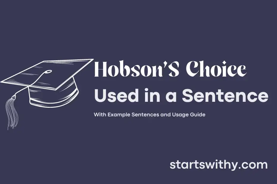 hobson-s-choice-in-a-sentence-examples-21-ways-to-use-hobson-s-choice