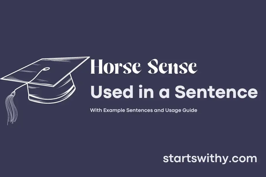 sentence with Horse Sense