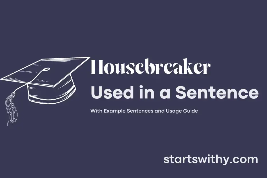 sentence with Housebreaker