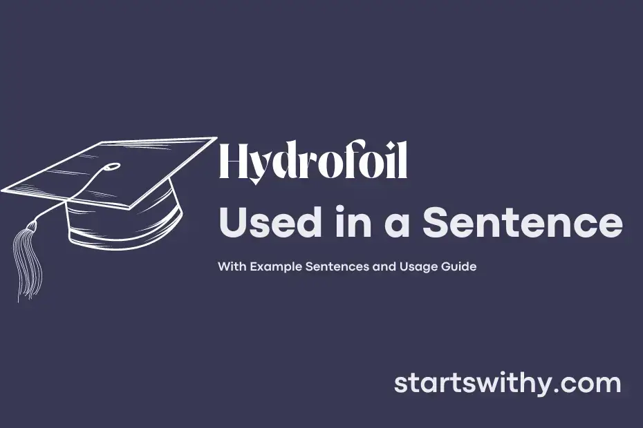 sentence with Hydrofoil