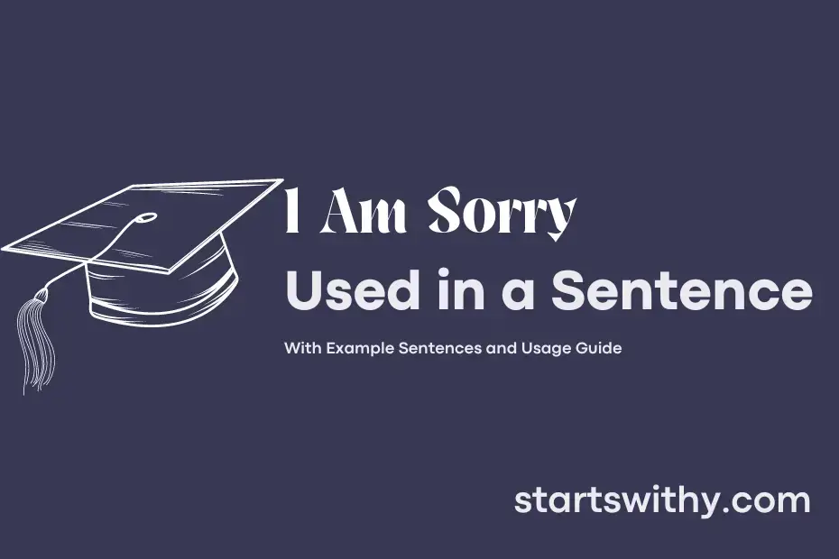 sentence with I Am Sorry