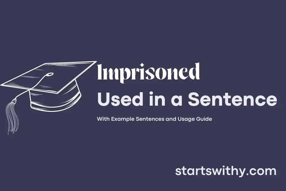 imprisoned-in-a-sentence-examples-21-ways-to-use-imprisoned