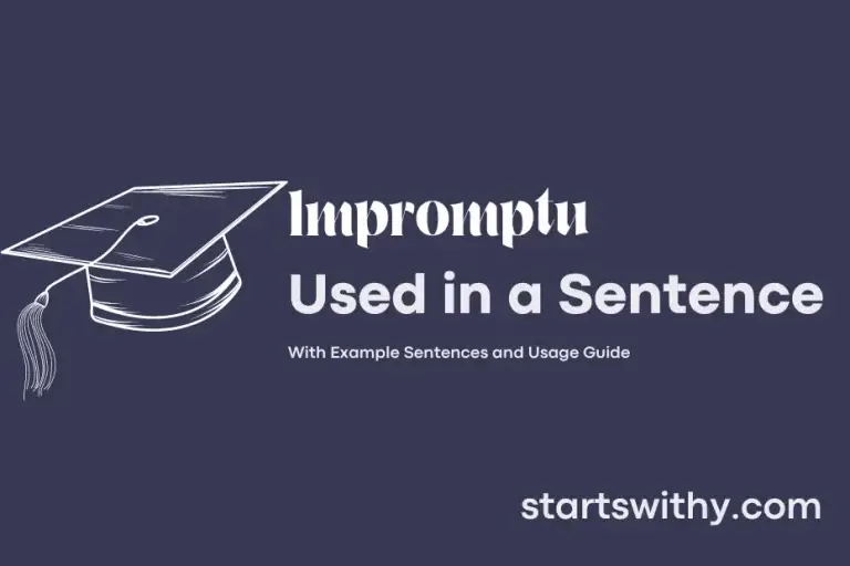 Impromptu In A Sentence Examples 21 Ways To Use Impromptu