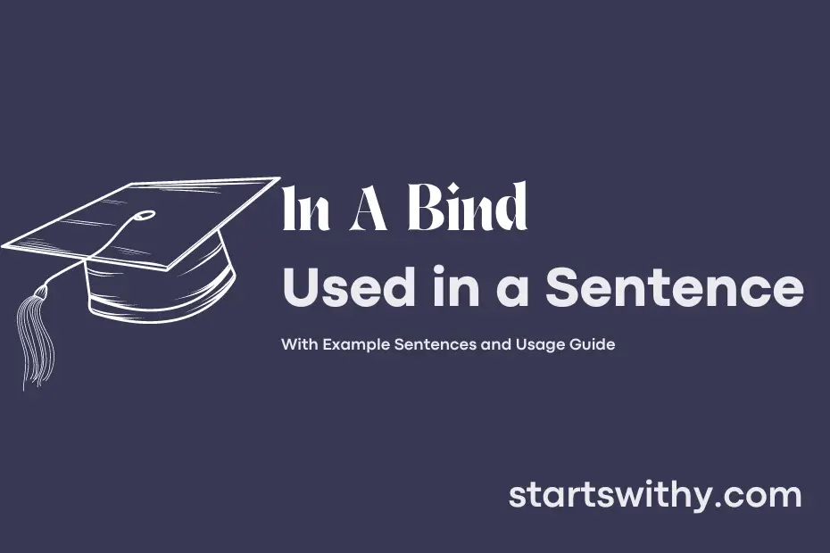 in-a-bind-in-a-sentence-examples-21-ways-to-use-in-a-bind