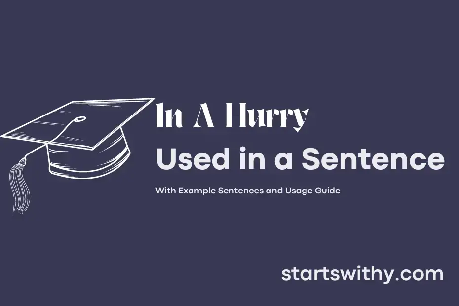 sentence with In A Hurry