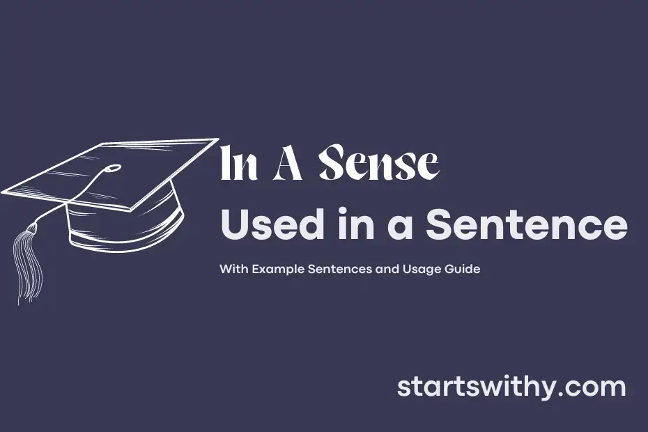 sentence with In A Sense