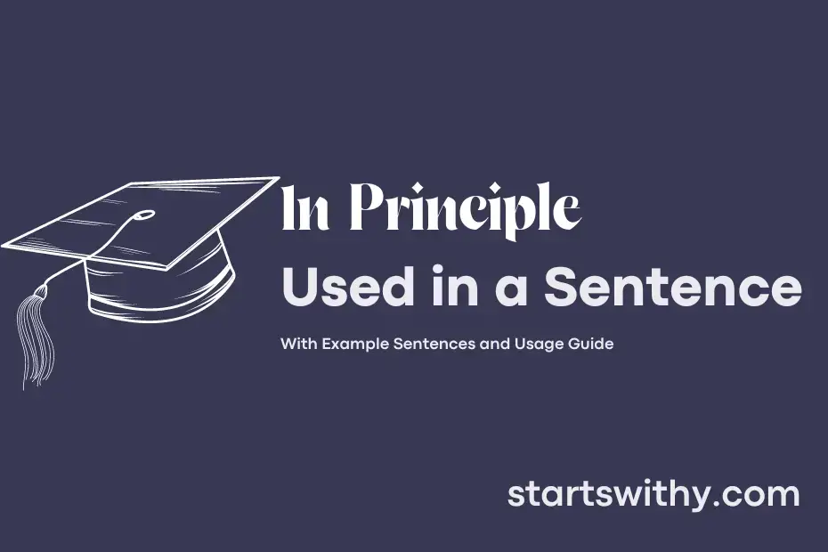 in-principle-in-a-sentence-examples-21-ways-to-use-in-principle