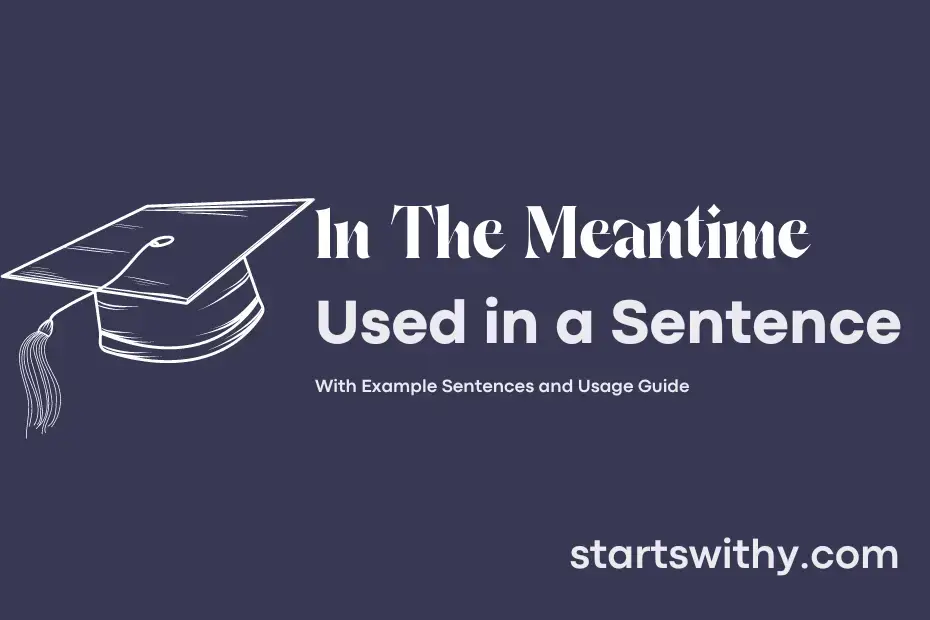 in-the-meantime-in-a-sentence-examples-21-ways-to-use-in-the-meantime