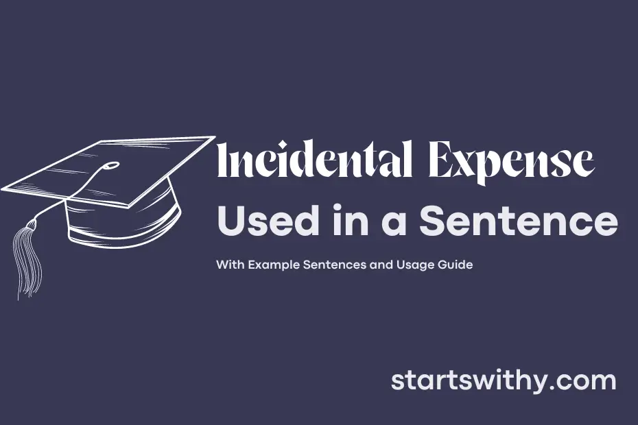 incidental-expense-in-a-sentence-examples-21-ways-to-use-incidental