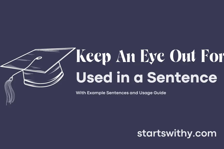 keep-an-eye-out-for-in-a-sentence-examples-21-ways-to-use-keep-an-eye