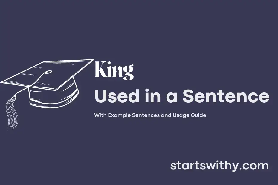 king-in-a-sentence-examples-21-ways-to-use-king