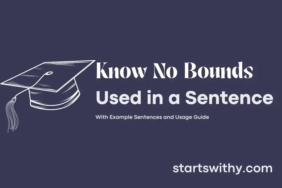 know-no-bounds-in-a-sentence-examples-21-ways-to-use-know-no-bounds